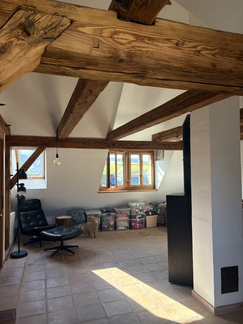 6.5 Zimmer Hausteil (8)