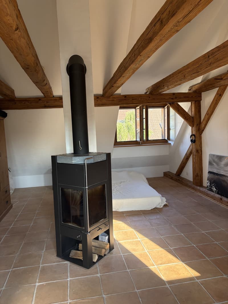 6.5 Zimmer Hausteil (9)