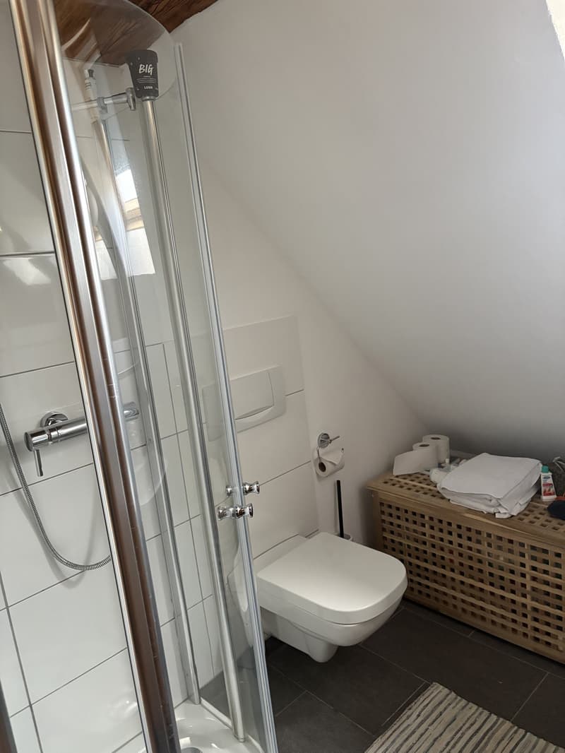 6.5 Zimmer Hausteil (7)