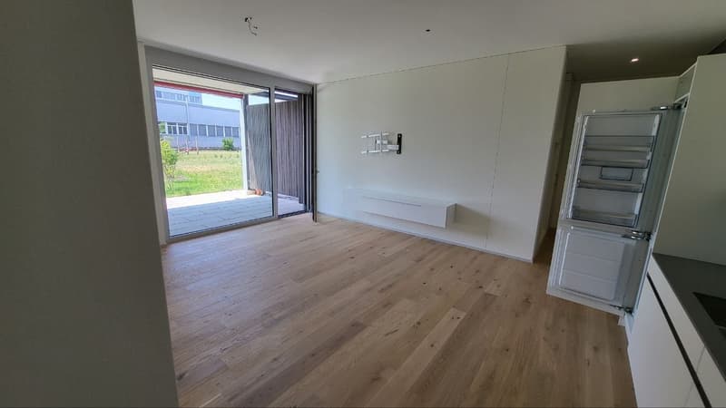 Moderne, helle Ergeschosswohnung mit grosser Terrasse am Eulachpark (4)