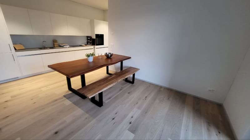 Moderne, helle Ergeschosswohnung mit grosser Terrasse am Eulachpark (1)