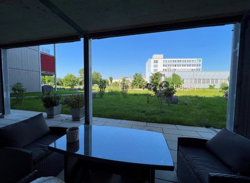 Moderne, helle Ergeschosswohnung mit grosser Terrasse am Eulachpark (2)