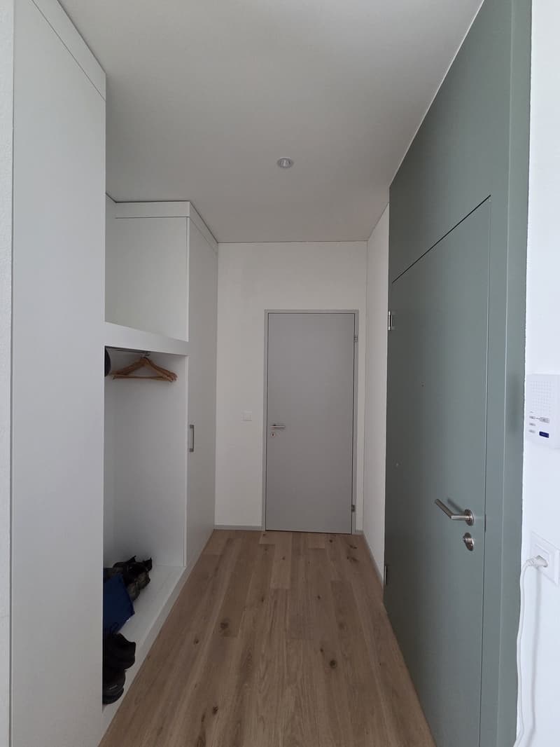 Moderne, helle Ergeschosswohnung mit grosser Terrasse am Eulachpark (9)