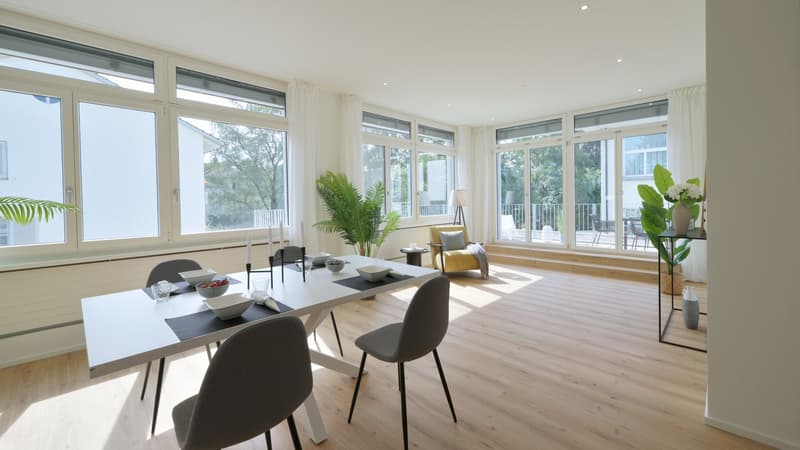 Traumwohnung an Top-Lage hell, modern & urban / grosszügige 3.5 Zimmerwohnung (7)