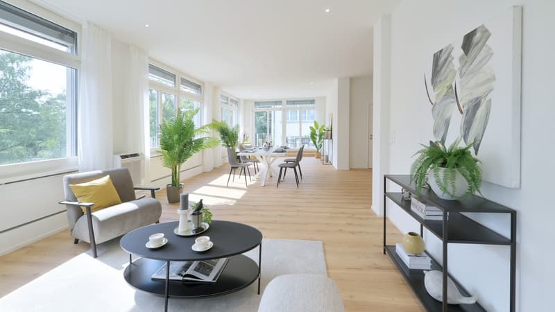 Traumwohnung an Top-Lage hell, modern & urban / grosszügige 3.5 Zimmerwohnung (2)