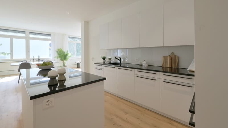 Traumwohnung an Top-Lage hell, modern & urban / grosszügige 3.5 Zimmerwohnung (11)