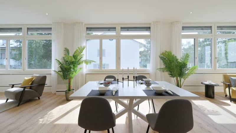 Traumwohnung an Top-Lage hell, modern & urban / grosszügige 3.5 Zimmerwohnung (6)