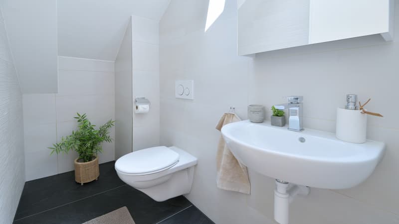 Exklusive Maisonette-Wohnung an der Badenerstrasse 398, Zürich (12)