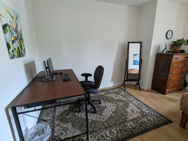 5-room apartment in a beautiful building in Zurich District 6 (5)
