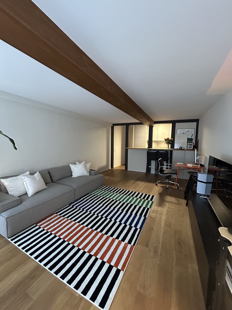 Nachmieter/in gesucht ab sofort / nach Vereinbarung schöne 2.5-Zimmer-Wohnung in der Altstadt (5)