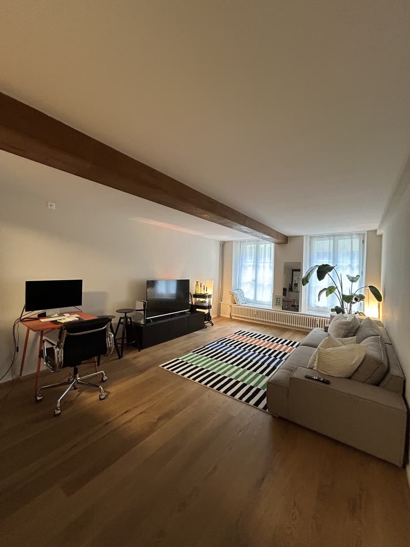 Nachmieter/in gesucht ab sofort / nach Vereinbarung schöne 2.5-Zimmer-Wohnung in der Altstadt (1)