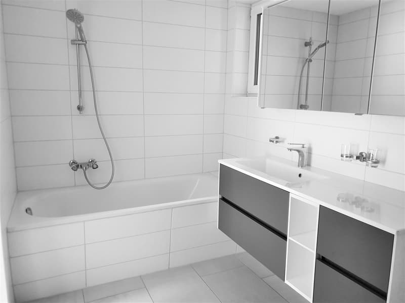 4.5 Zimmer wohnung mit Garten und Parkplatz CHF1930 inkl. Nebenkosten (12)