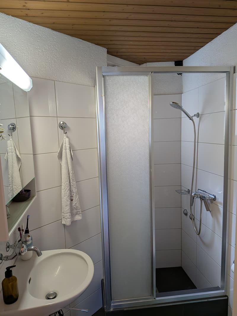 Gemütliche 2.5 Zi Wohnung im Bruchquartier (8)