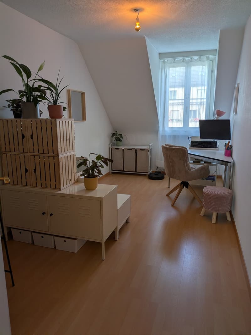 Gemütliche 2.5 Zi Wohnung im Bruchquartier (4)