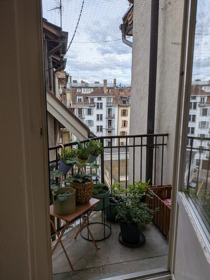 Gemütliche 2.5 Zi Wohnung im Bruchquartier (6)