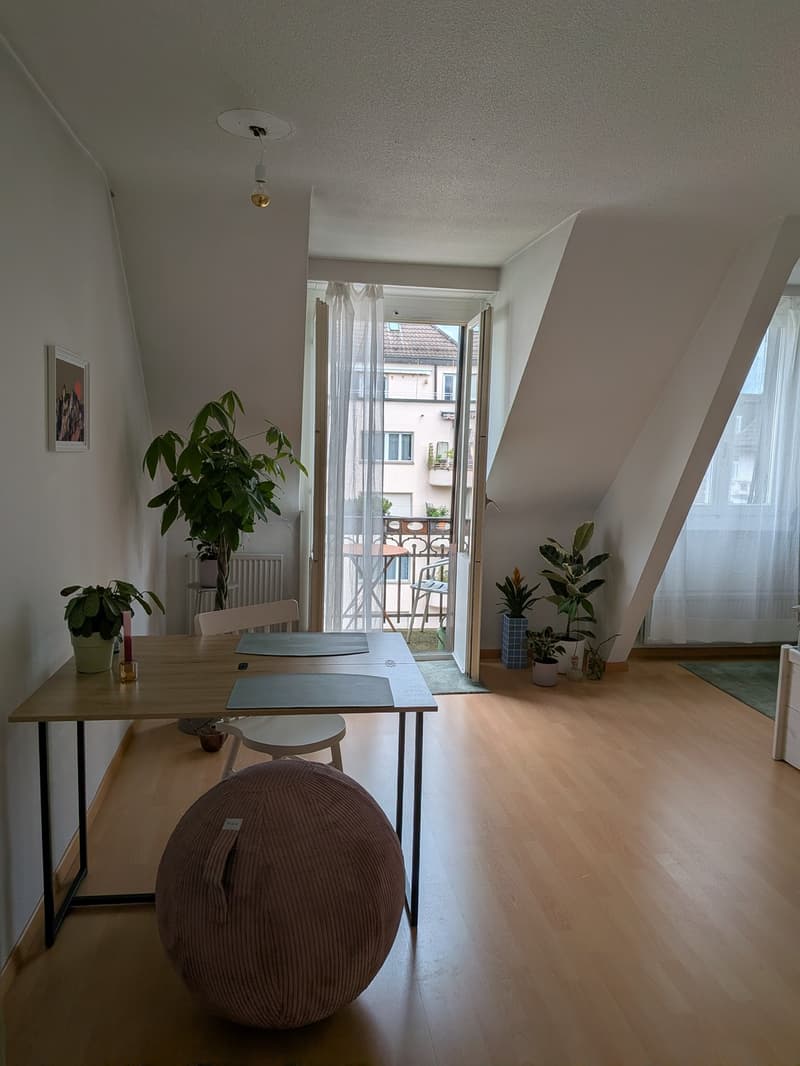 Gemütliche 2.5 Zi Wohnung im Bruchquartier (1)