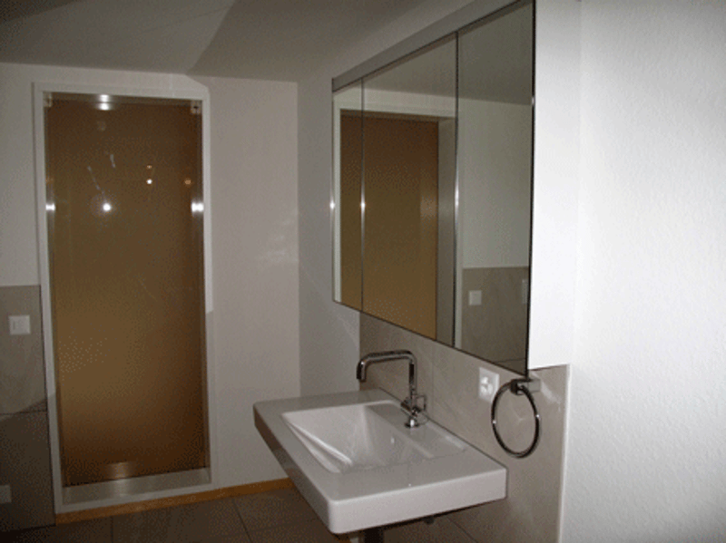 Altbau modern interpretiert - 3.5 Zimmer, Terrasse und Balkon, 110m2 (7)