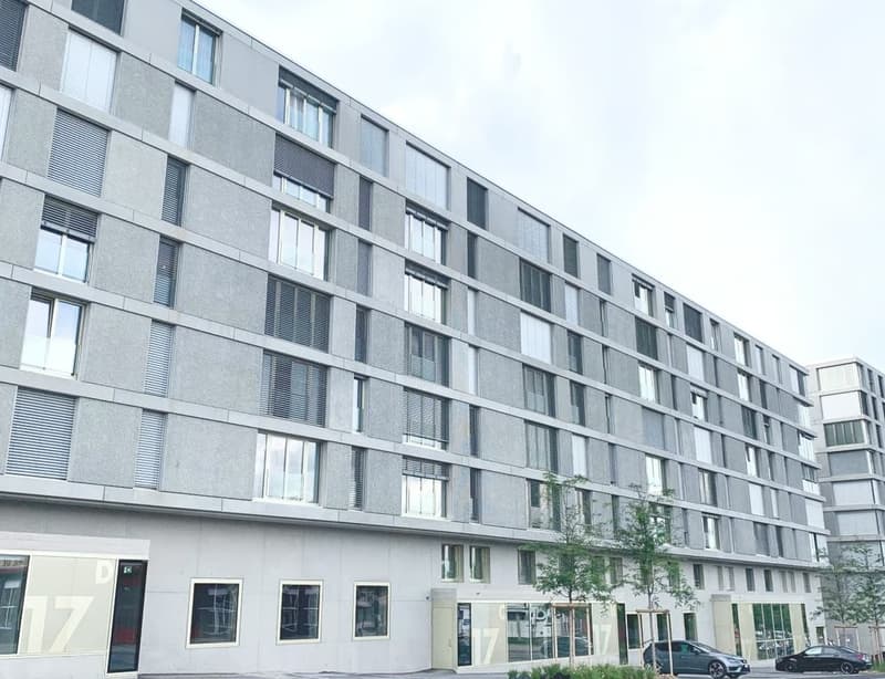 Construction 2019