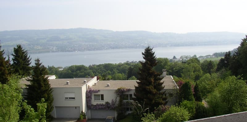 6 Zimmer Attika-, Maisonette Wohnung mit Seesicht (6)