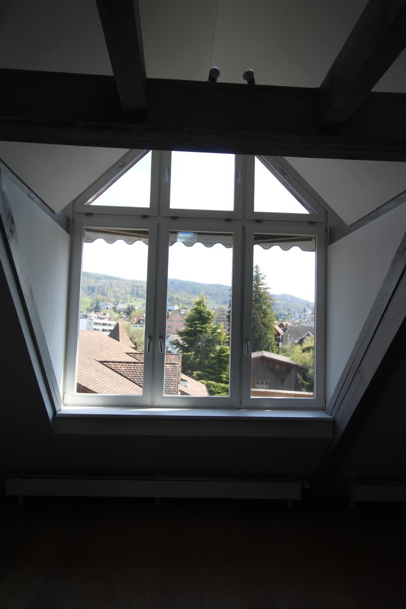 Aussergewöhnliche Loft-Maisonette mit Galerie stilvoll wohnen nähe See (10)