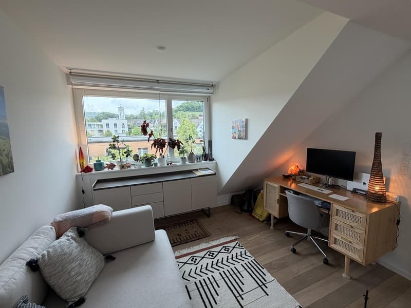 Furnished 2.5 room Apartment in Tiefenbrunnen with terrace and mountain view (6-12 months) (3)