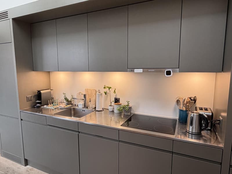 Furnished 2.5 room Apartment in Tiefenbrunnen with terrace and mountain view (6-12 months) (10)