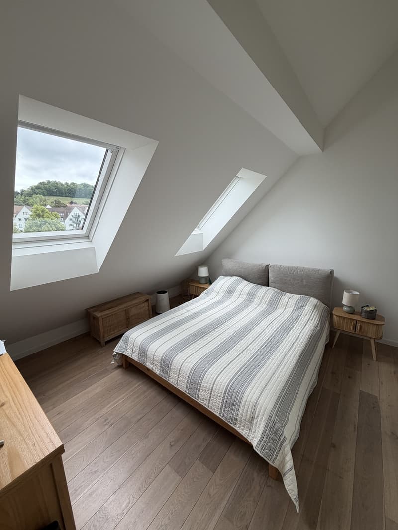 Furnished 2.5 room Apartment in Tiefenbrunnen with terrace and mountain view (6-12 months) (4)