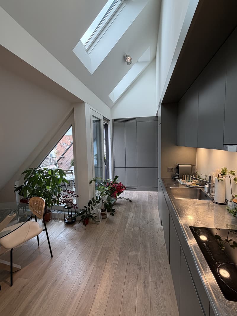 Furnished 2.5 room Apartment in Tiefenbrunnen with terrace and mountain view (6-12 months) (12)