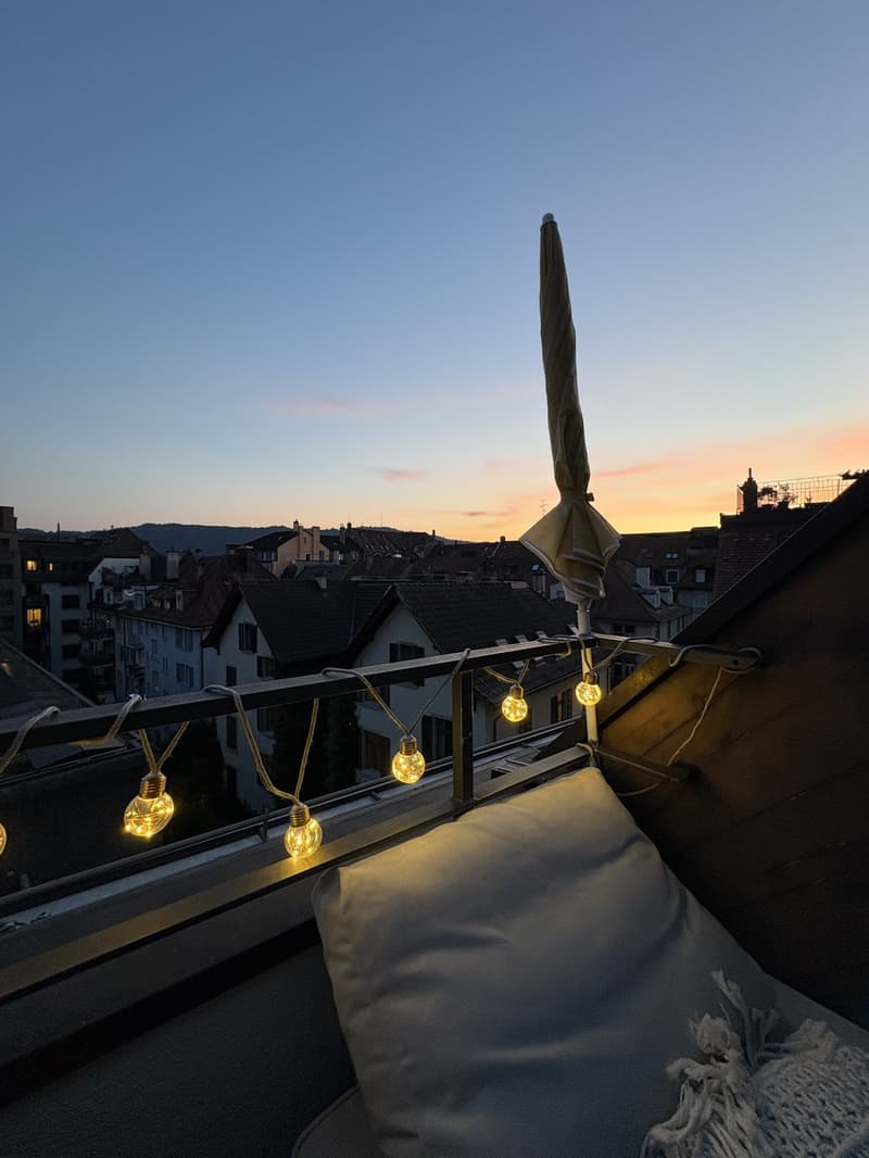 Furnished 2.5 room Apartment in Tiefenbrunnen with terrace and mountain view (6-12 months) (8)