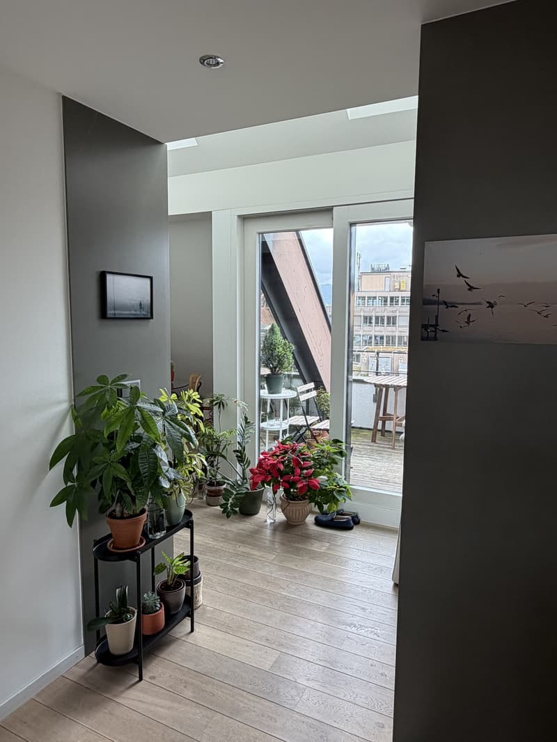 Furnished 2.5 room Apartment in Tiefenbrunnen with terrace and mountain view (6-12 months) (7)