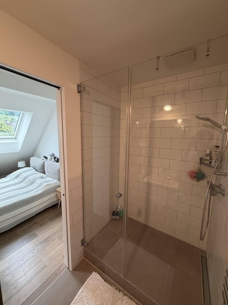 Furnished 2.5 room Apartment in Tiefenbrunnen with terrace and mountain view (6-12 months) (6)
