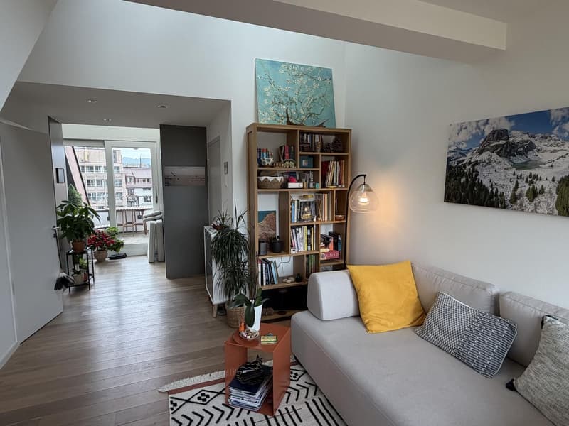 Furnished 2.5 room Apartment in Tiefenbrunnen with terrace and mountain view (6-12 months) (1)