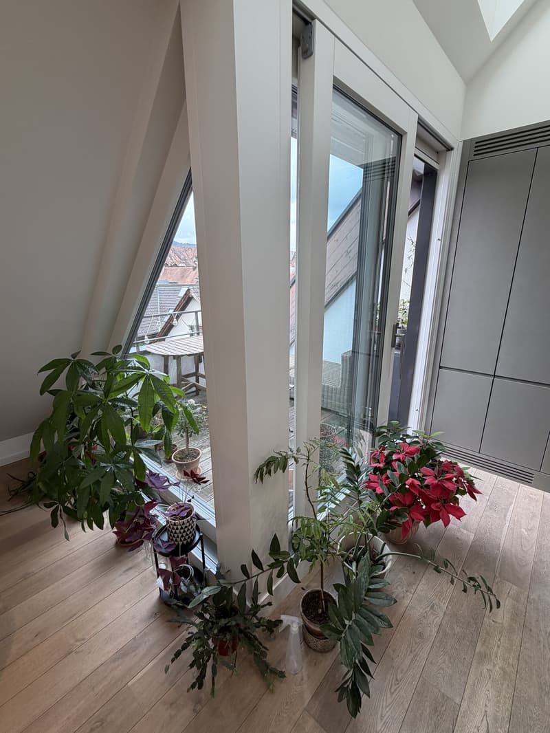 Furnished 2.5 room Apartment in Tiefenbrunnen with terrace and mountain view (6-12 months) (13)