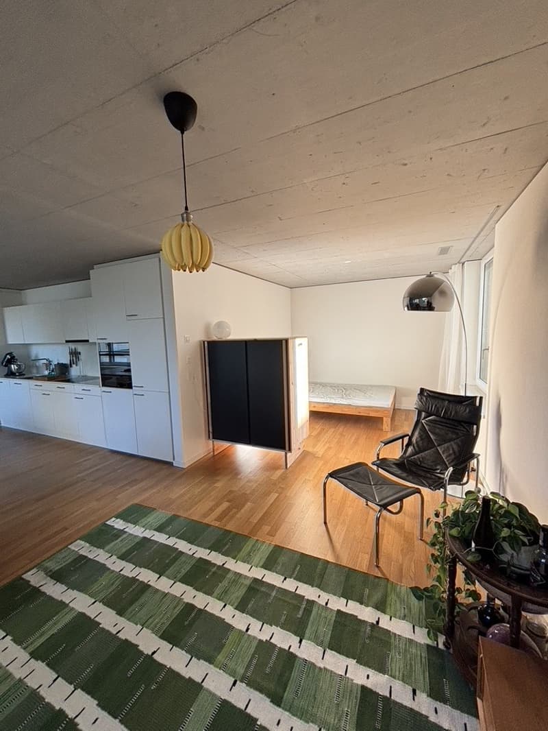 Moderne Loftwohnung im Labitzke-Areal (5)