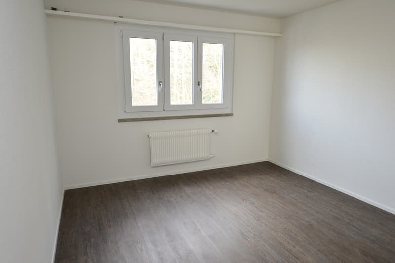 SANIERTE & MODERNE 4.5 ZIMMERWOHNUNG (3)