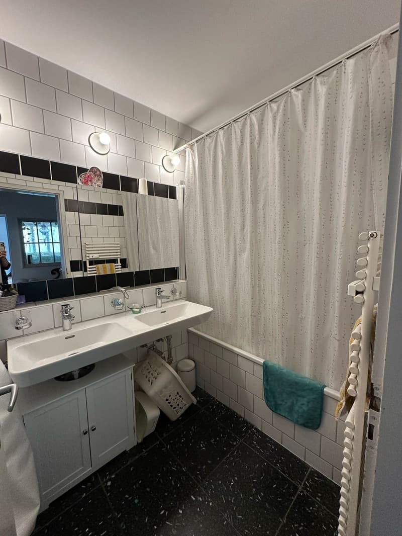Seefeld Zürich Fully Furnished 4 Room, 103 m² Apartment with Balcony (9)