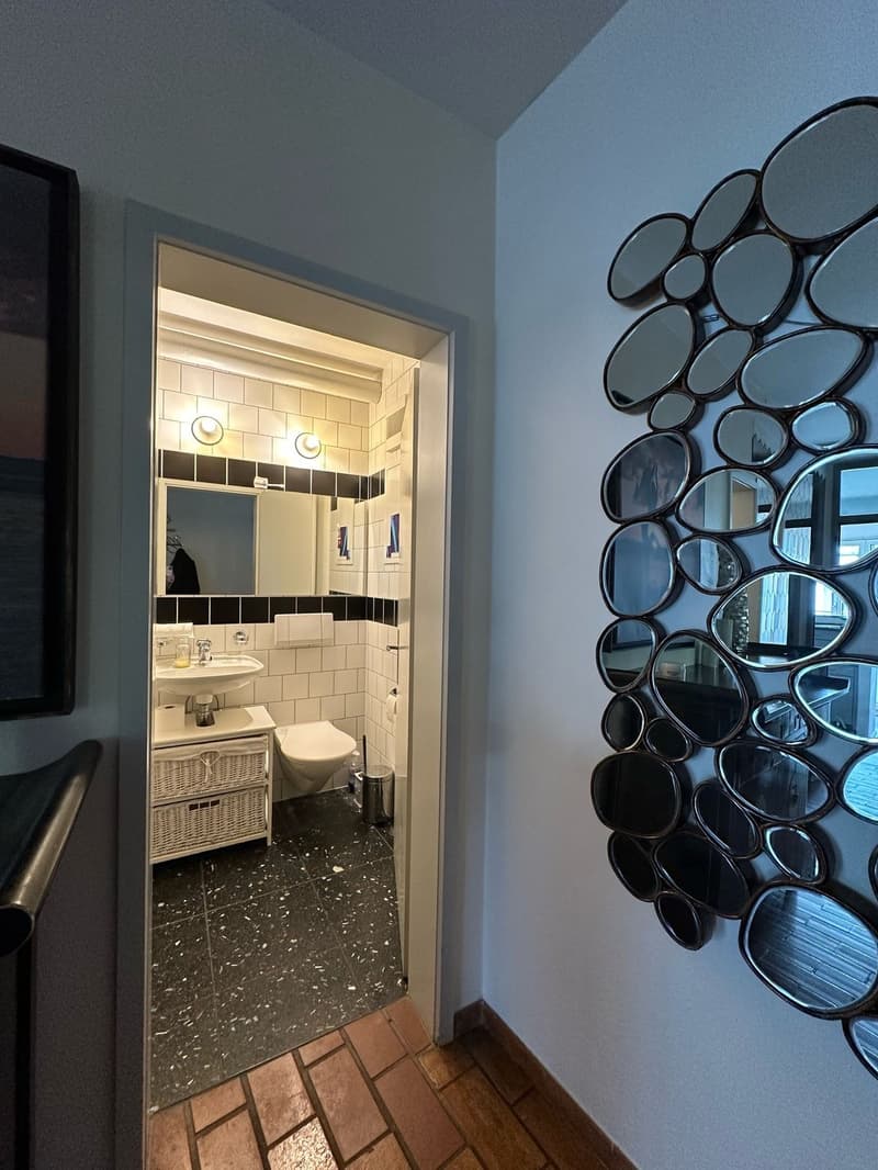 Seefeld Zürich Fully Furnished 4 Room, 103 m² Apartment with Balcony (8)