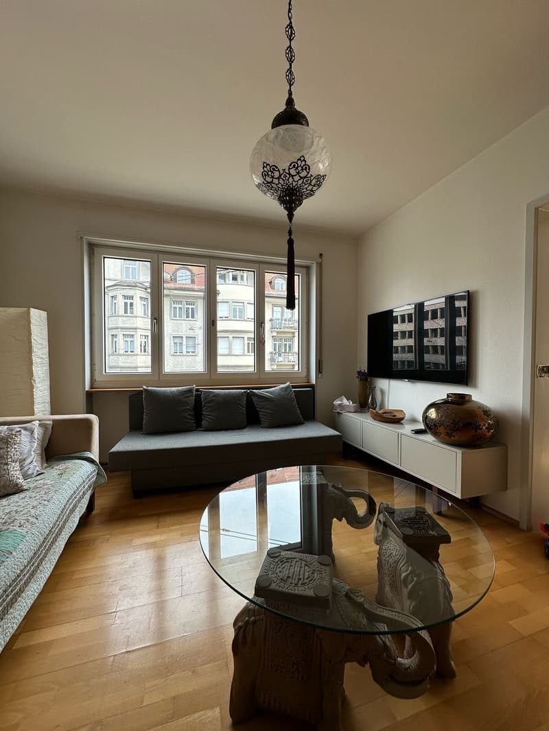 Seefeld Zürich Fully Furnished 4 Room, 103 m² Apartment with Balcony (5)