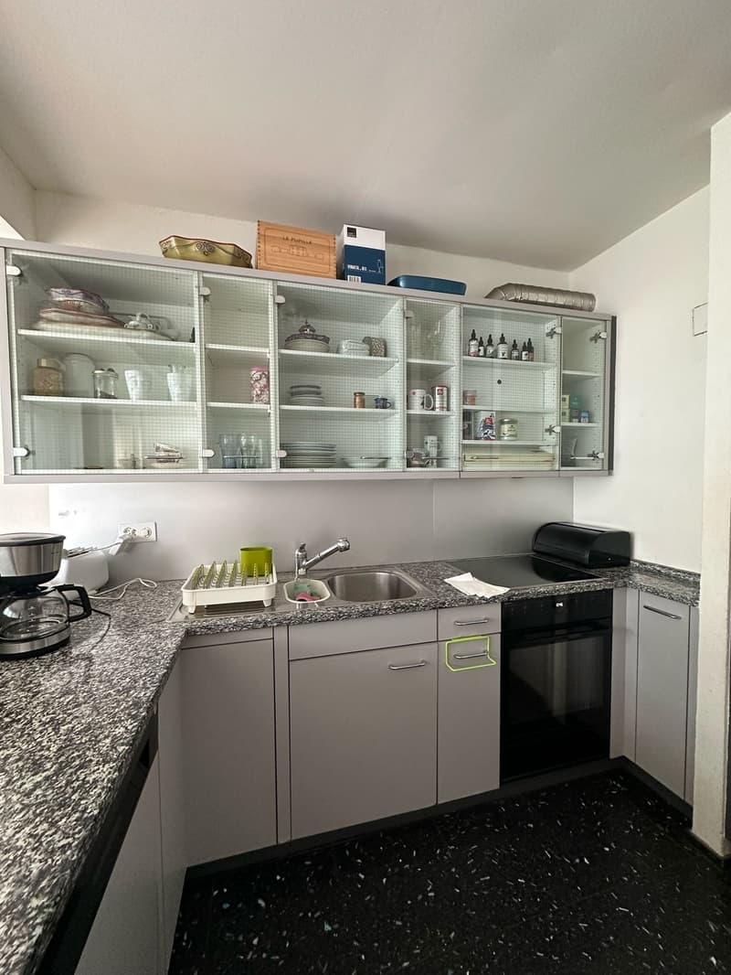 Seefeld Zürich Fully Furnished 4 Room, 103 m² Apartment with Balcony (6)