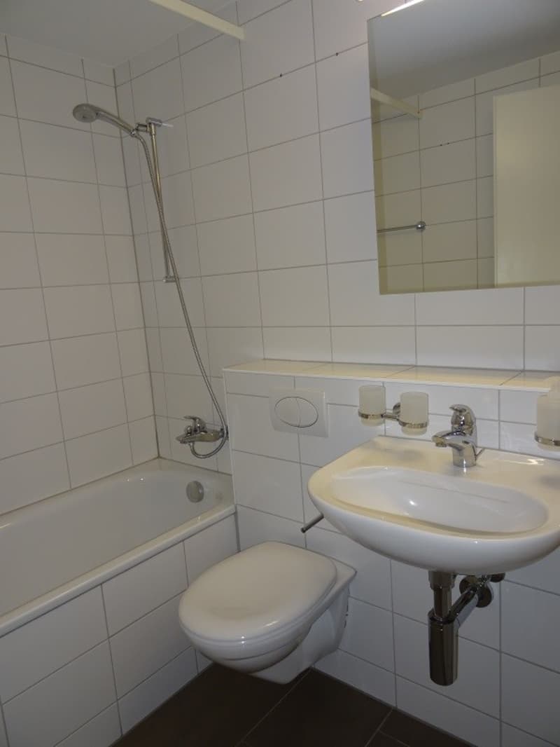 Geräumige Wohnung an ruhiger Lage (5)