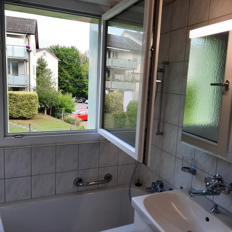 Frisch renovierte,helle 3-Zimmer Wohnung im Grossacher/Erlenweg 10 Hombrechtikon (12)