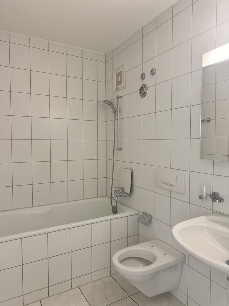 Geräumige 3-Zimmerwohnung im Zentrum von Binningen (6)