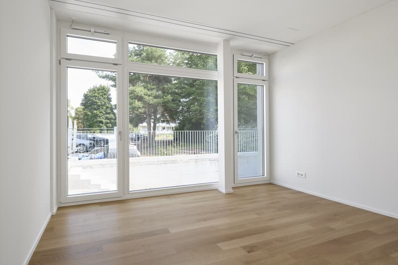 Modernes 2.5-Zimmer-Loft Renoviert im 2025, zur Nachmiete ab Mitte August 2026 (1)