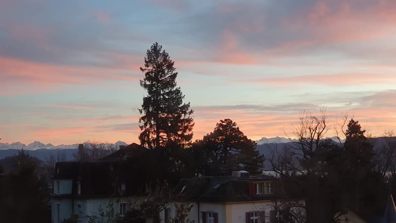 Bright 3.5-room apartment with balcony in Zurich, Platte (9)