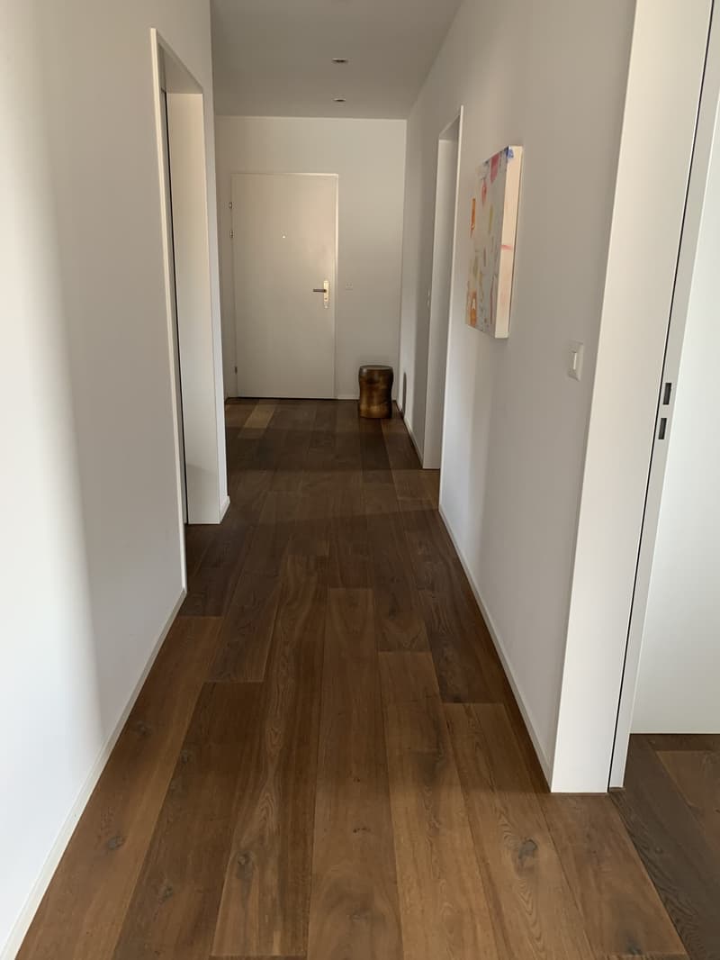 Moderne 4.5-Zimmer-Dachwohnung | 5 m Raumhöhe |Galerie | Blick zur Lägern (11)