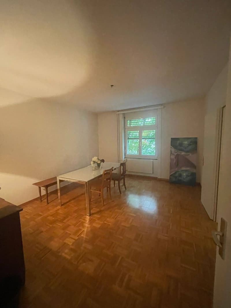 Spacious 90m2 3.5 room apartment (2)