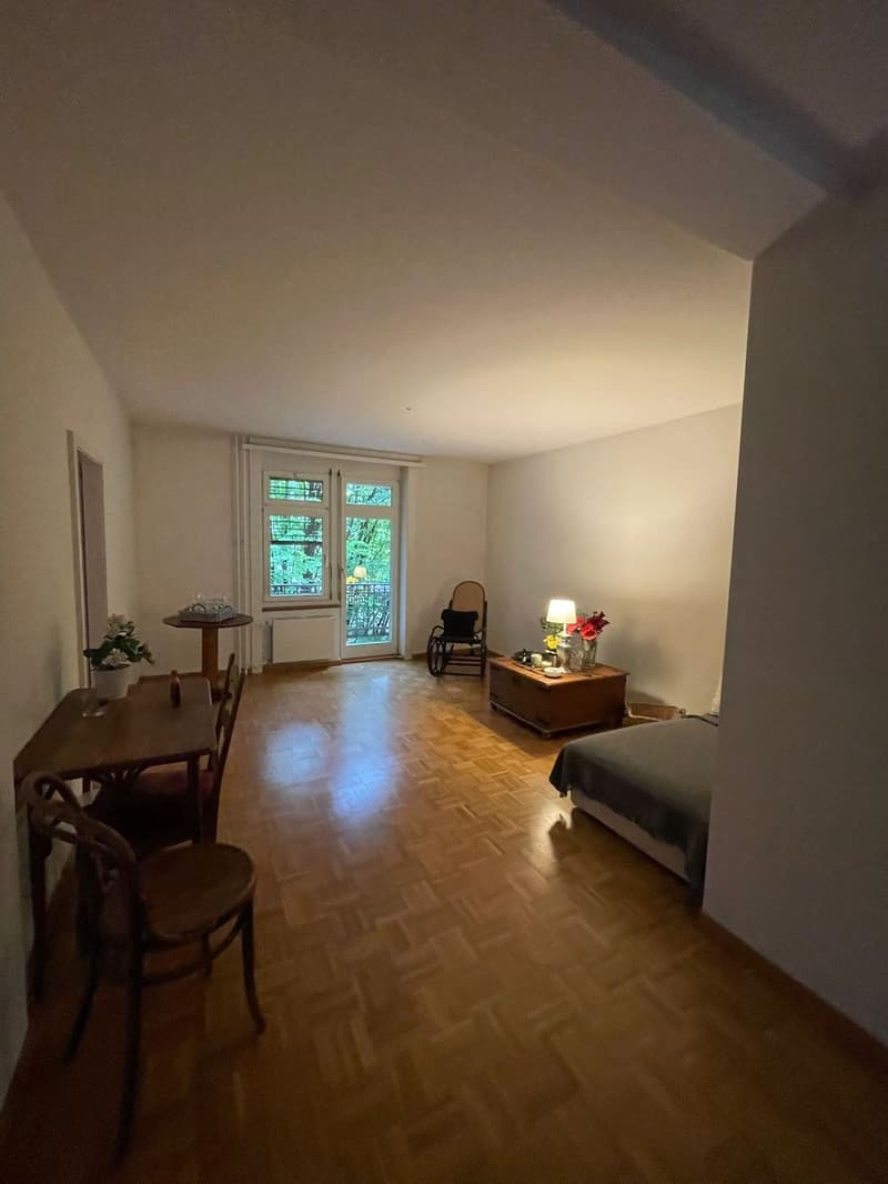 Spacious 90m2 3.5 room apartment (1)
