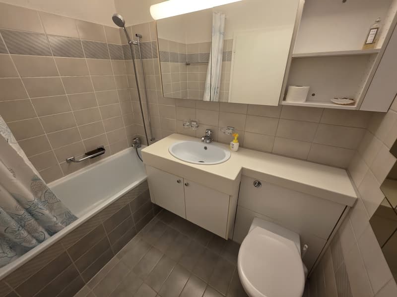 Spacious 90m2 3.5 room apartment (6)