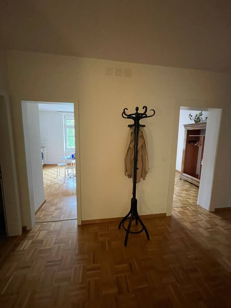 Spacious 90m2 3.5 room apartment (3)