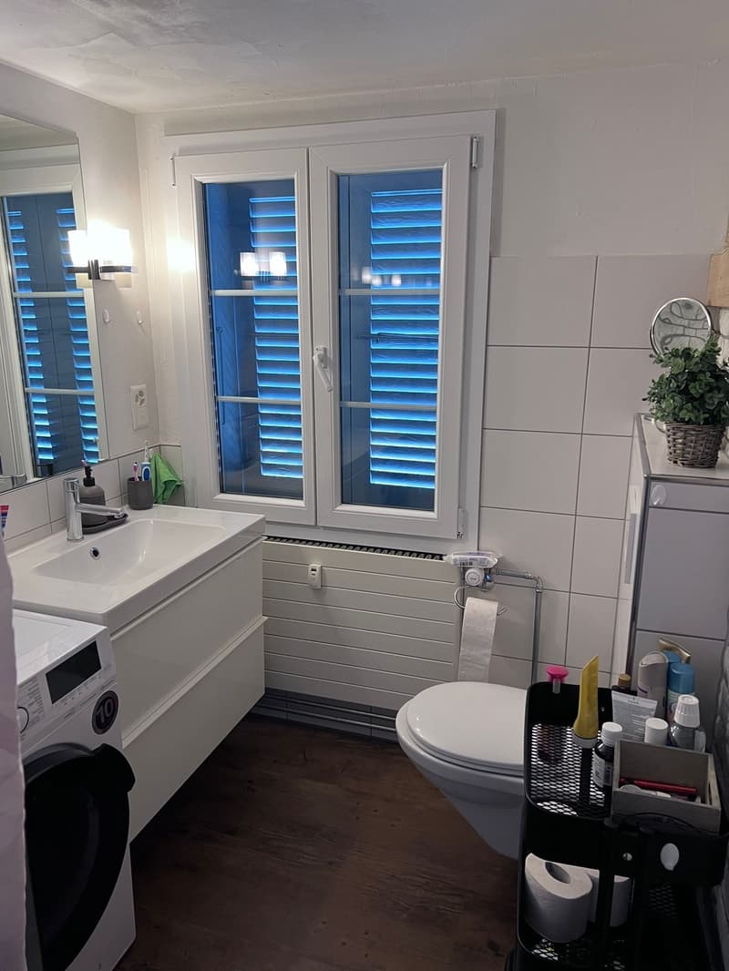 Schöne gemütliche Dachwohnung (5)